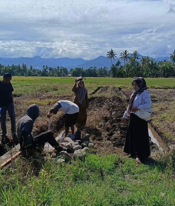 Pemerintah Nagari Tinjau Progres Jalan Usaha Tani, Wujudkan Akses Mudah untuk Petani